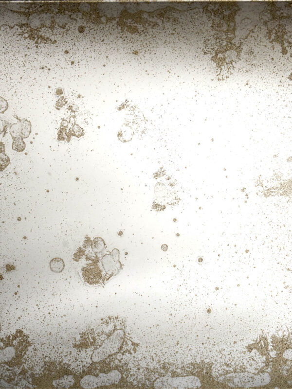 DS8-Fossil-Bronze-1-1.jpg