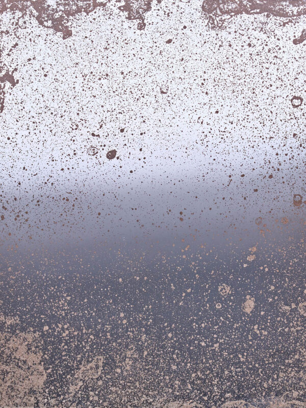 FOSSIL_OLD_COPPER_CP2_6290.jpg