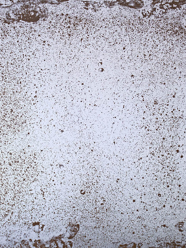 Fossil-Old-Bronze-BP2.jpg