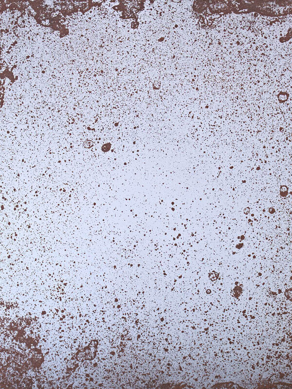 Fossil-Old-Copper-CP2.jpg